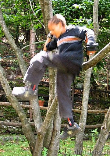 Original image